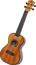 Curso de guitarra